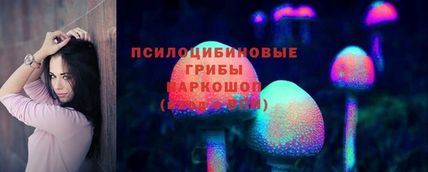 соль ск Абаза