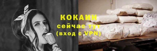 индика Абинск