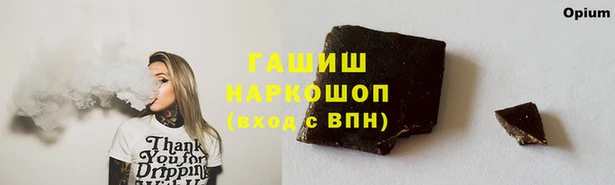 дмт Осташков