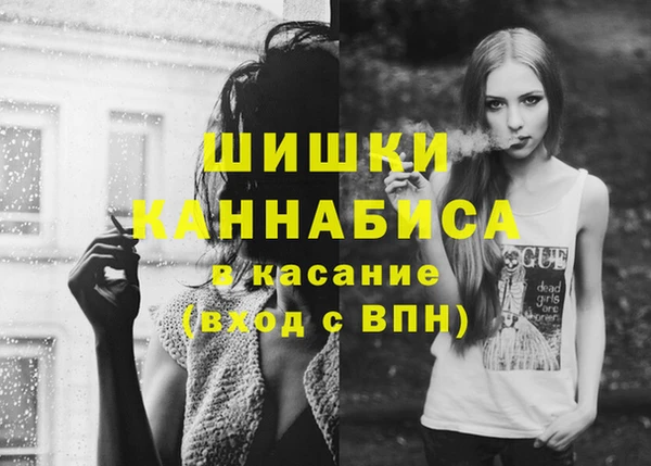 соль ск Абаза
