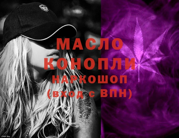 индика Абинск