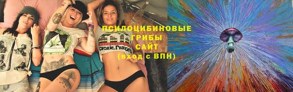 индика Абинск