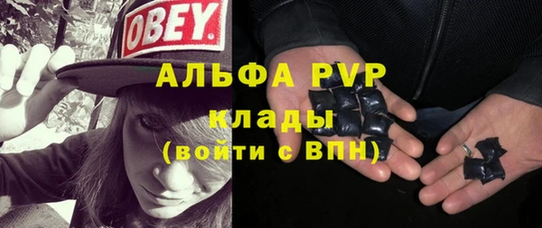 индика Абинск